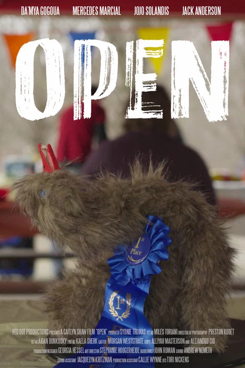 Open постер