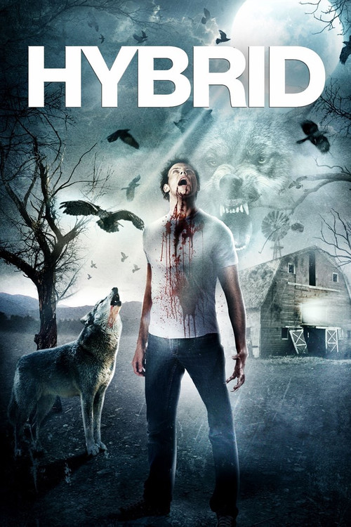 Hybrid постер
