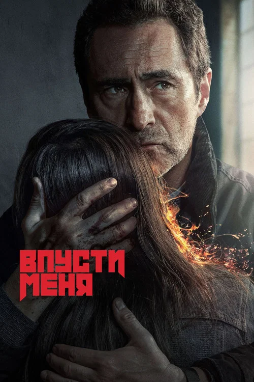 Впусти меня постер