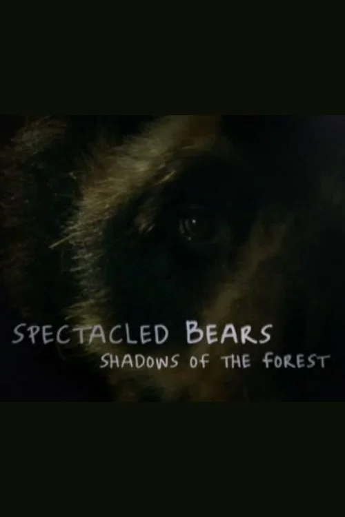 Spectacled Bears: Shadows of the Forest постер