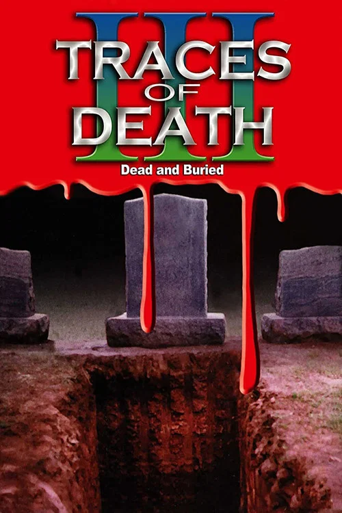 Следы смерти 3 постер