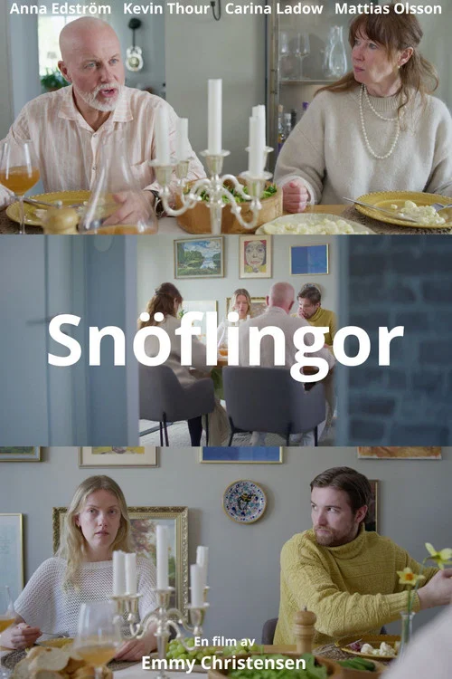 Snöflingor постер