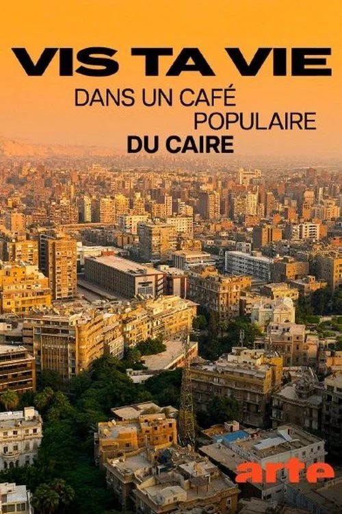 Vis ta vie постер