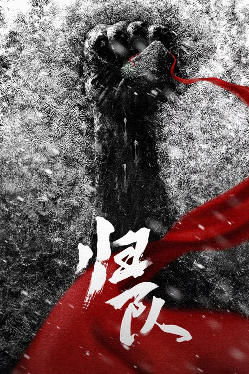 归队 постер