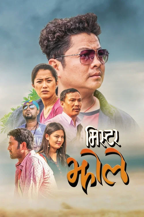 Mr. झोले постер