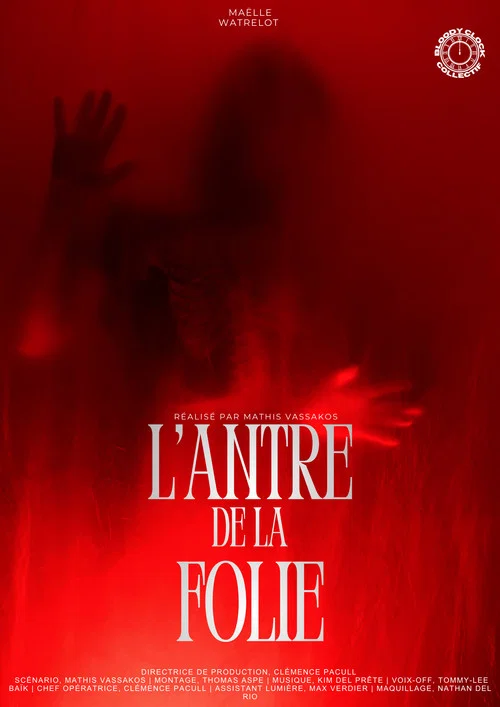 L'antre de la folie постер