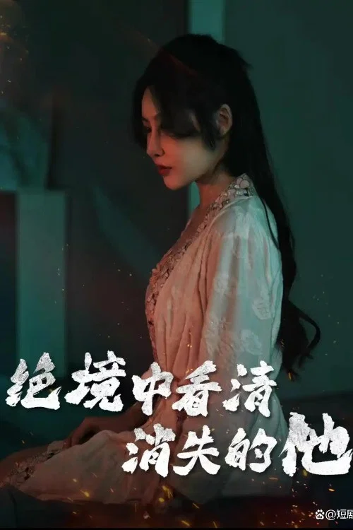 绝境中看清消失的他 постер