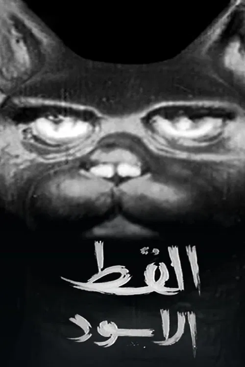القط الأسود постер
