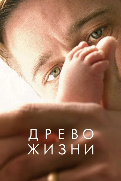 Древо жизни постер