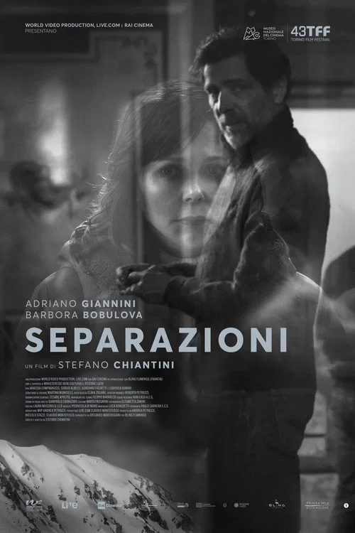 Separazioni постер
