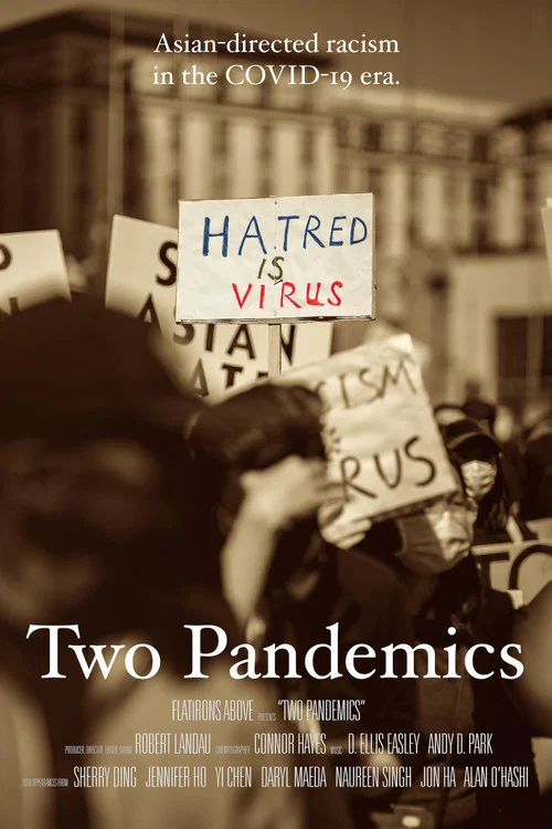 Two Pandemics постер