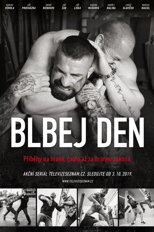Blbej den постер