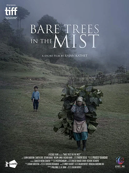 Bare Trees in the Mist постер