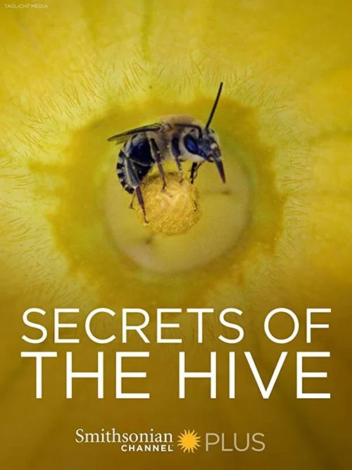 Secrets of the Hive постер
