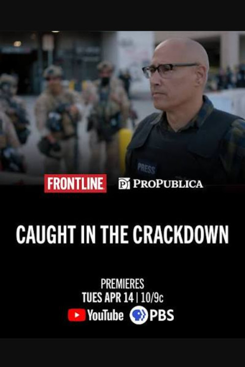 Caught in the Crackdown постер
