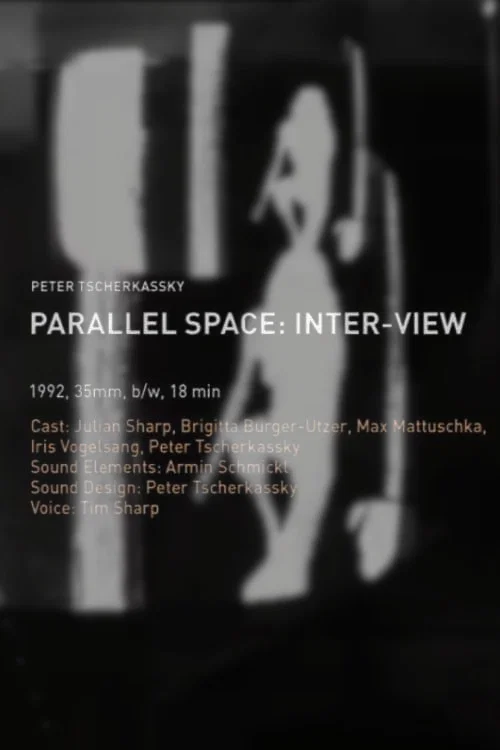 Parallel Space: Inter-View постер
