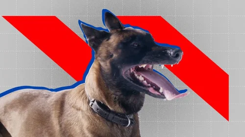 Эпизод 4