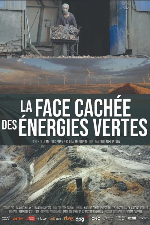 La face cachée des énergies vertes постер
