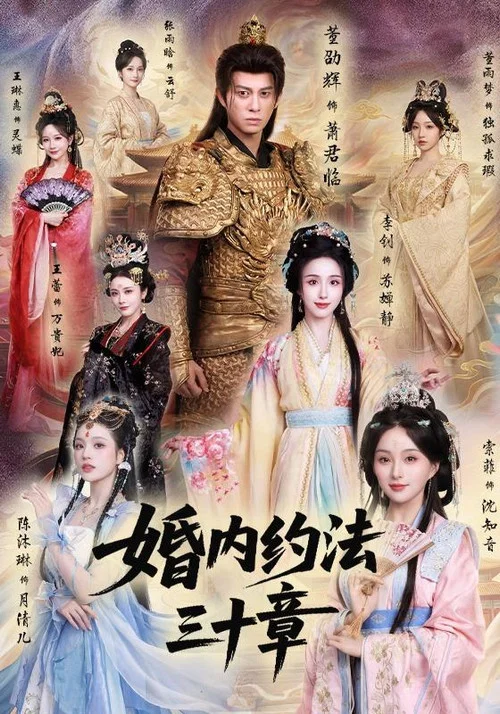 婚内约法三十章 постер