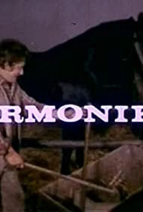 Harmonika постер