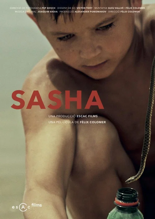 Sasha постер