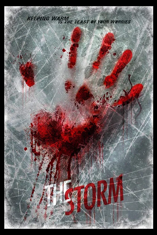 The Storm постер