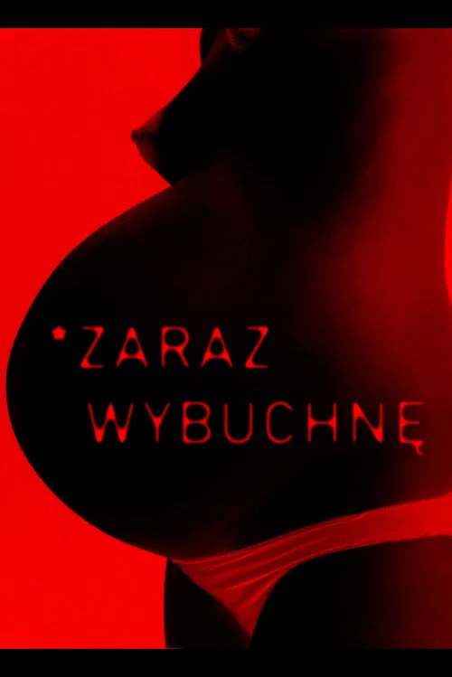 #sprzeciw_polek постер