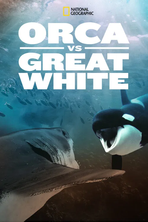 Orca Vs. Great White постер