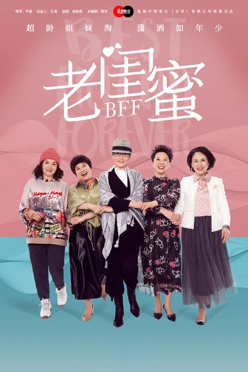 老闺蜜 постер