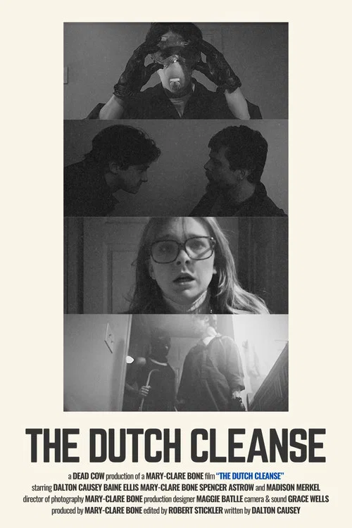 The Dutch Cleanse постер