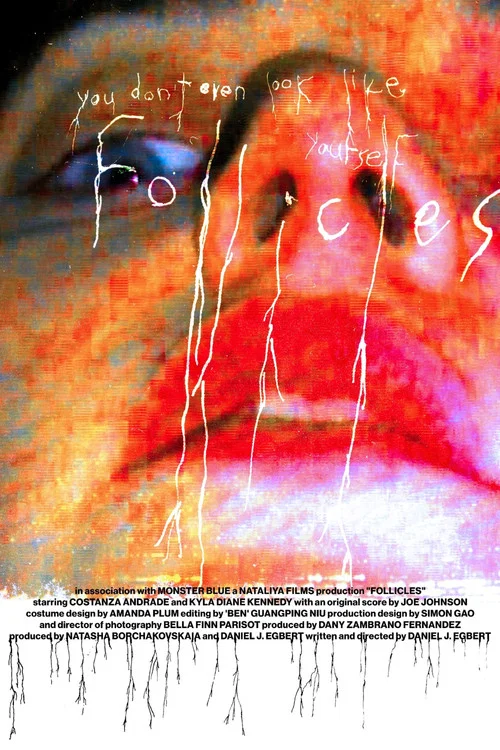 FOLLICLES постер
