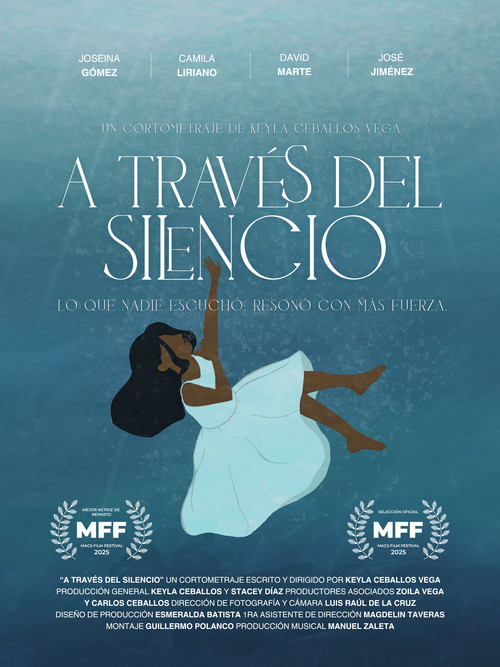 A Través del Silencio постер