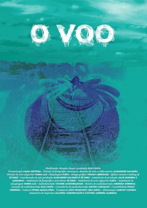 O Voo постер