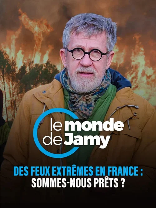 Des feux extrêmes en France : sommes-nous prêts ? постер