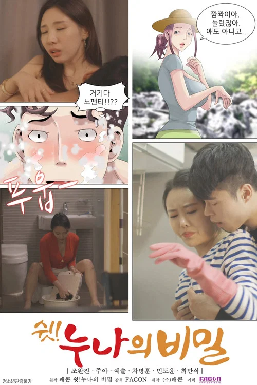 쉿!누나의 비밀 постер
