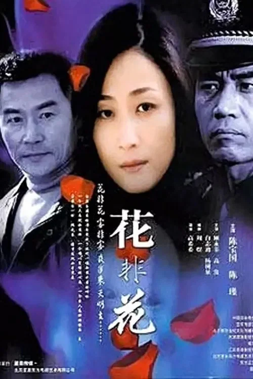 花非花 постер
