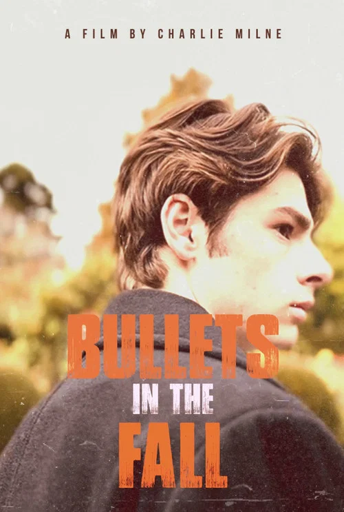 Bullets In The Fall постер