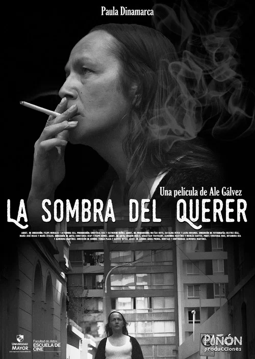 La sombra del querer постер