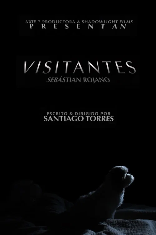 Visitantes постер