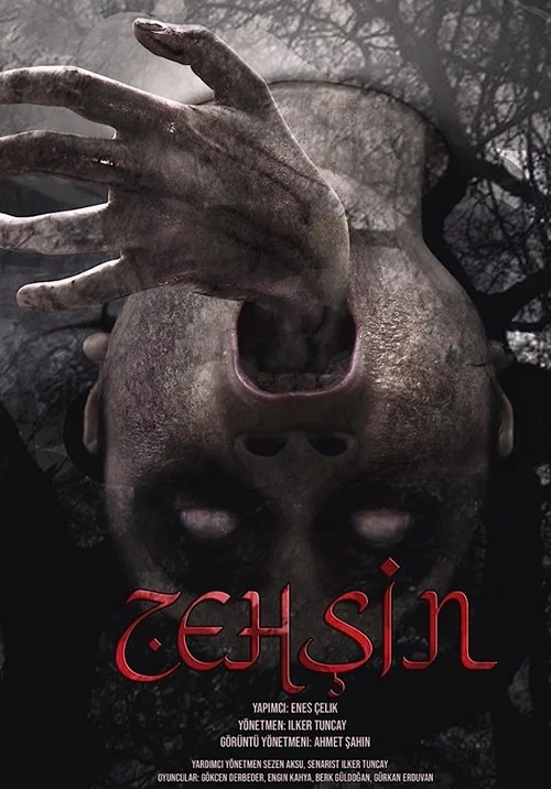 Zehşin Cin-i Musallat постер