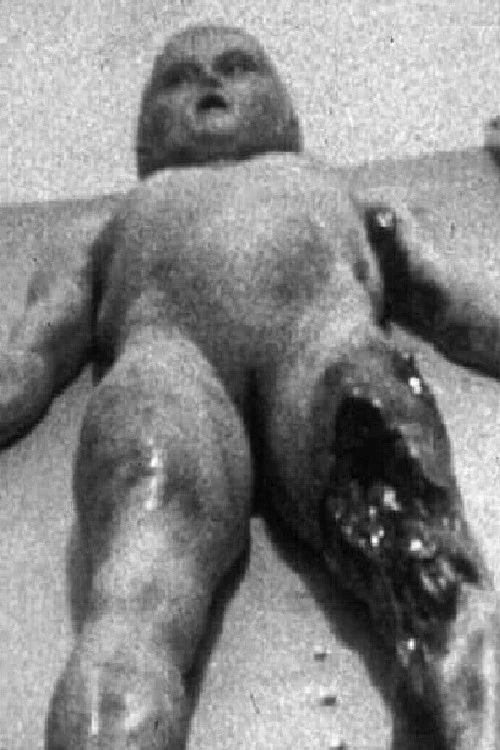 The Alien Autopsy постер