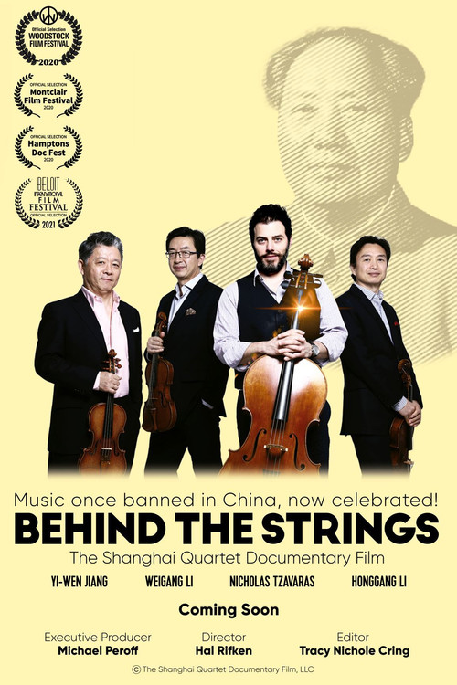Behind the Strings постер
