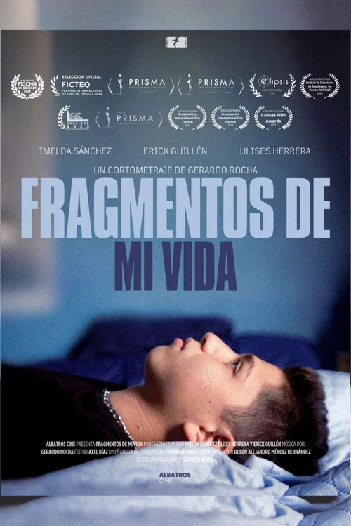 Fragmentos de mi Vida постер