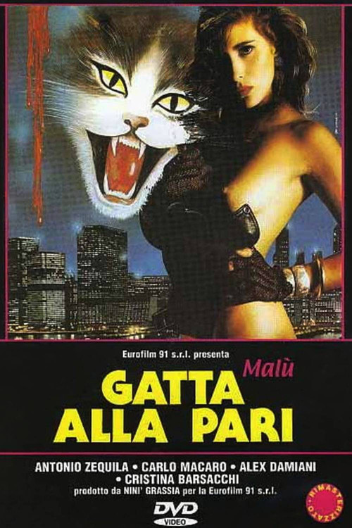 Gatta alla pari постер