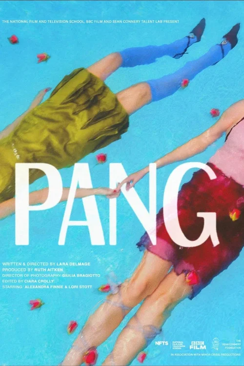 Pang постер