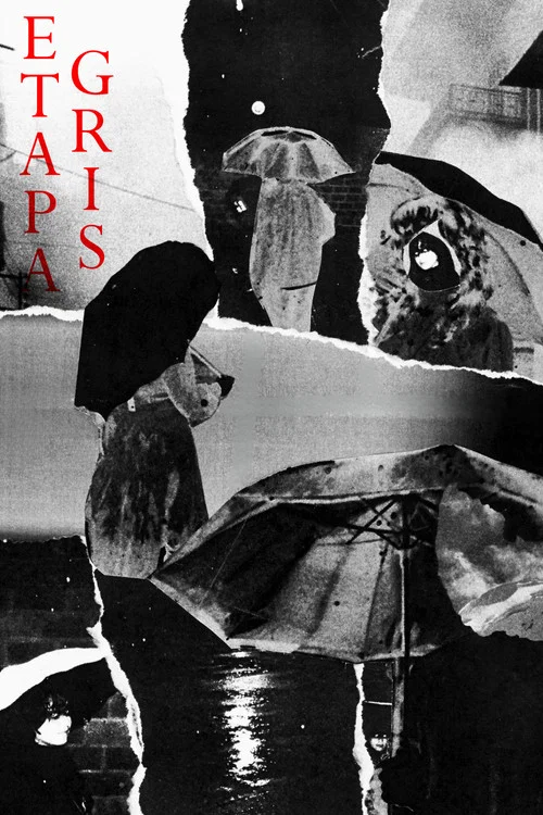 Etapa Gris постер