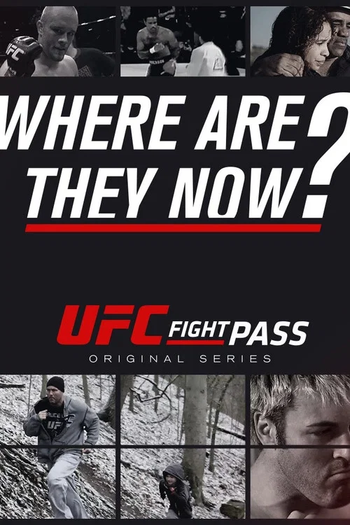 UFC: Where Are They Now? постер