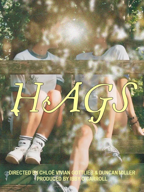HAGS постер