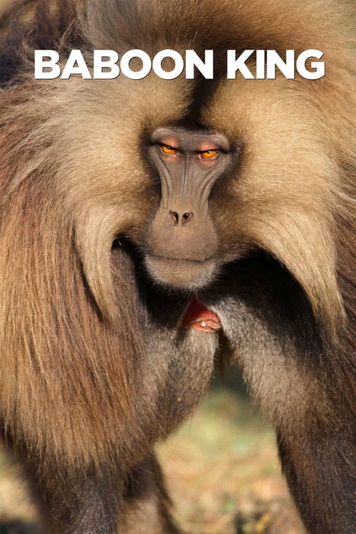Baboon King постер