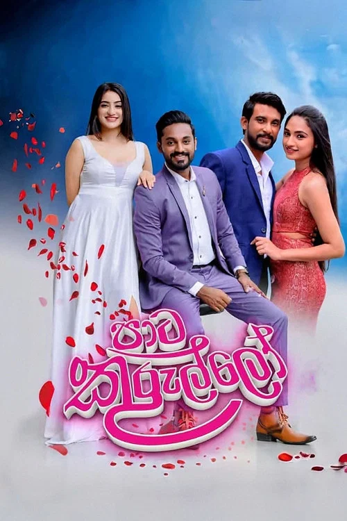 පාට කුරුල්ලෝ постер